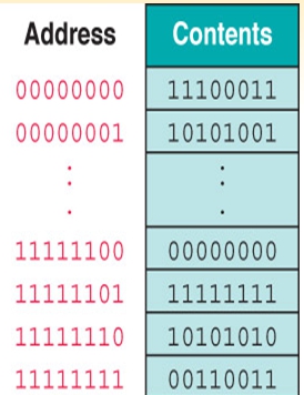 Computer Hardware - Mr. M online