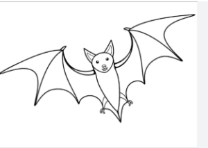 bat pciture 2